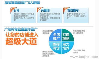 天貓店鋪推廣與運(yùn)營(yíng)全攻略 裝修、拍照、產(chǎn)品描述與軟件開(kāi)發(fā)價(jià)格解析